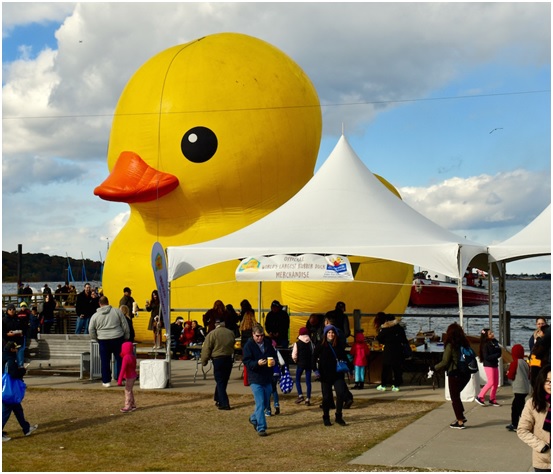 Oyster Fest 2015