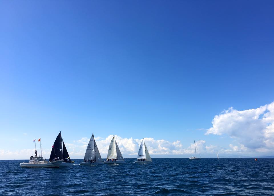 Melges Japan Week 2015 - Melges 24