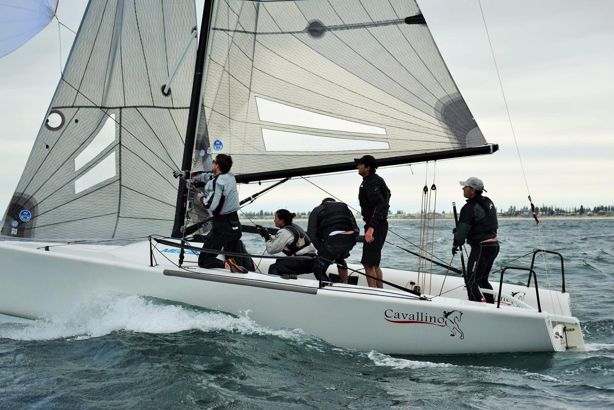 Chris Links' Cavallino AUS795 - photo Ally Graham
