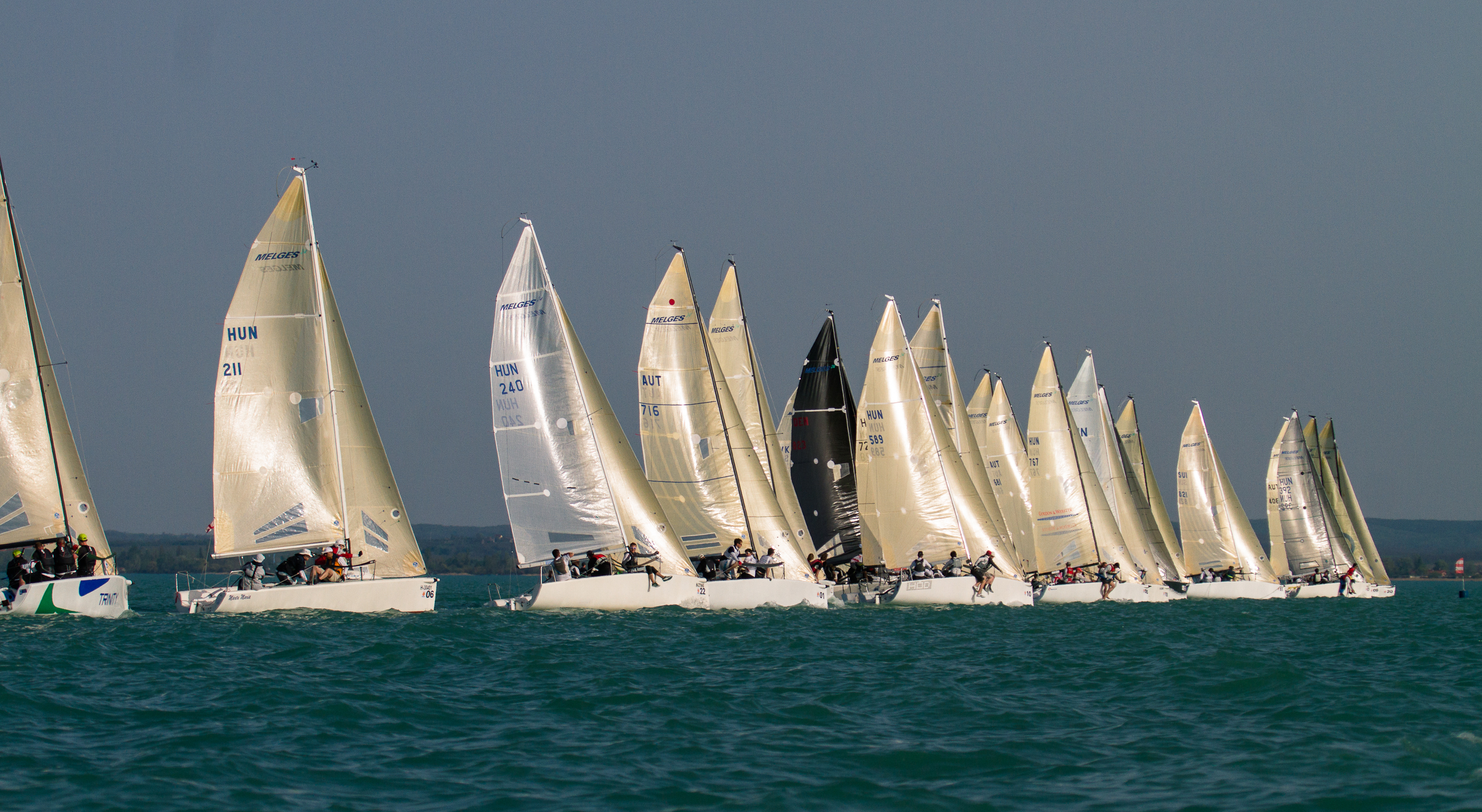 MVM Regatta 2013