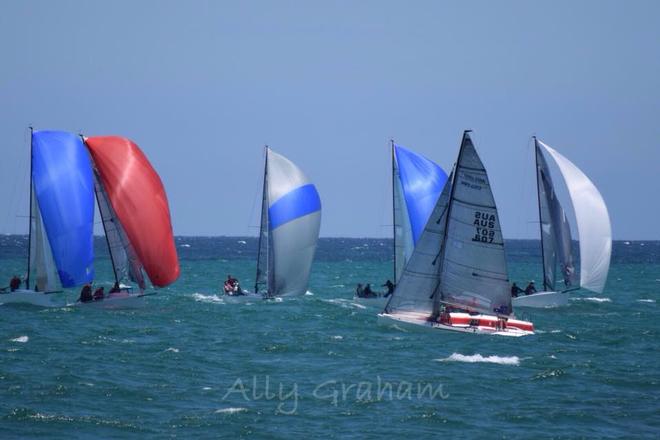 Xmas Sprint Series Australia - Photo Ally Graham