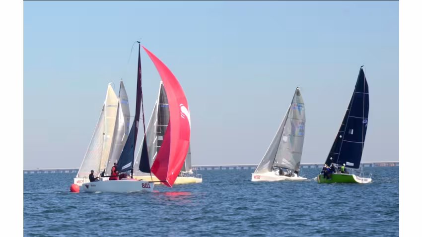 2019 Bushwacker Cup - Shaka USA801 of K C Shannon