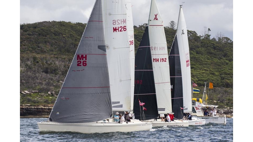 Adams 10 nationals start Sydney Harbour Regatta 2020 AUS