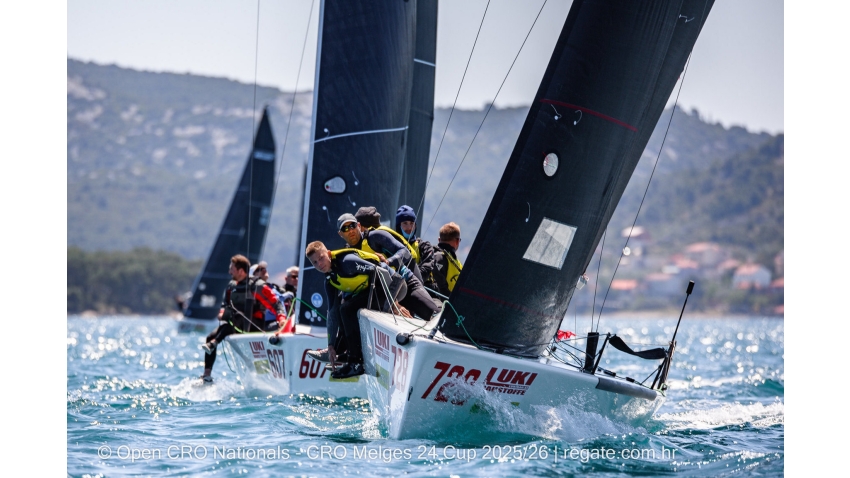 Little A CRO728 by Stipe Cesic