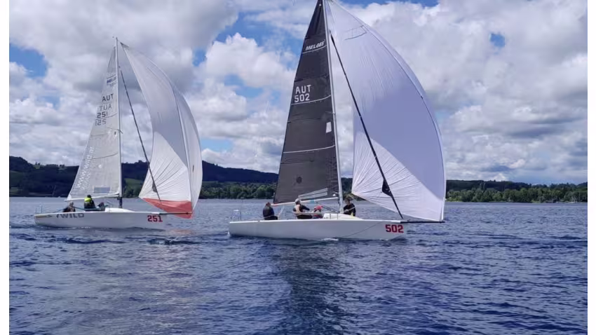 AUT502 of Michael Luschan and KOOKABURRA AUT251 of Josef Hackl