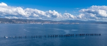 Melges 24 Worlds 2025 - Trieste, ITA